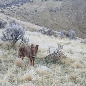 Meet your Posher, Holly